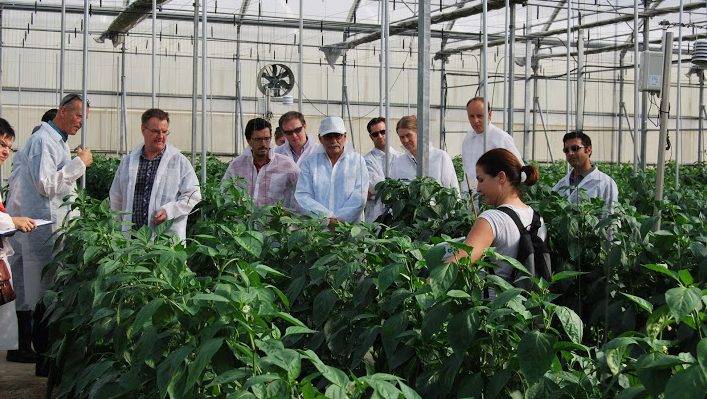 UAL visitaaeifincaexperimental|Abelló Linde suministro CO2 invernadero